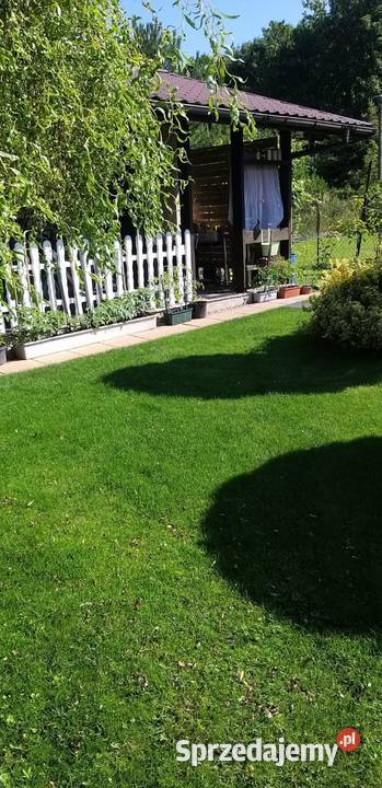 Działka ROD Tamel ogródek działkowy Grunty i działki Tarnów