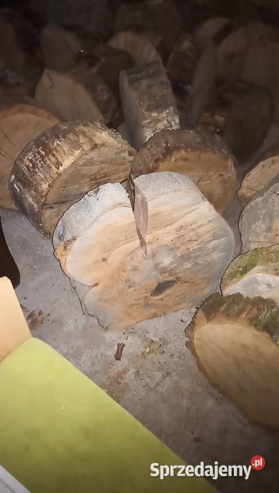 Plastry dębowe gotowe do obróbki Gorzów Wielkopolski sprzedam