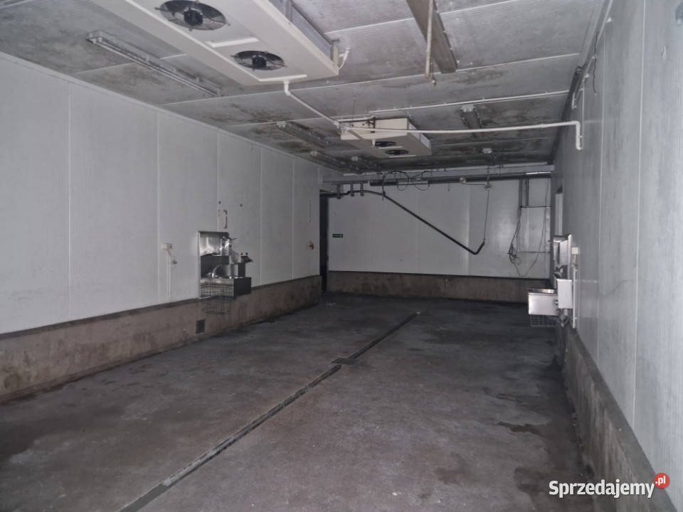 Syndyk sprzeda Nieruchomość w Zbychowie Sprzedaż Zbychowo