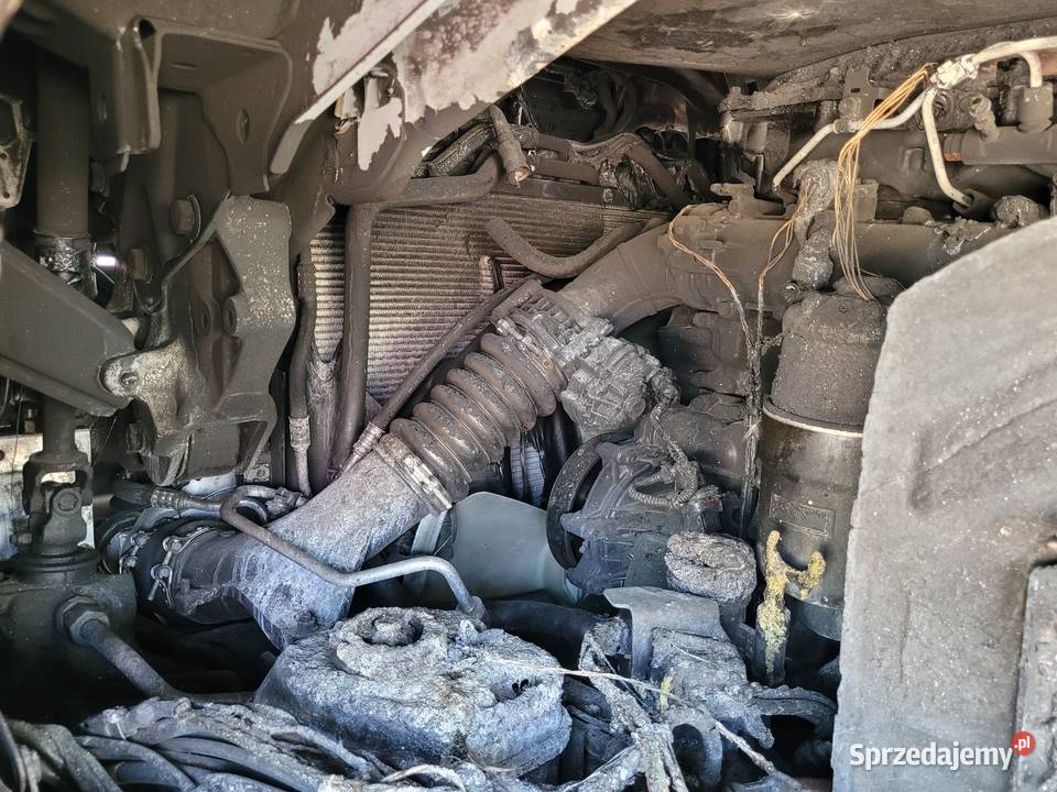 SCANIA S460 2025 SALON POLSKA mazowieckie Warszawa