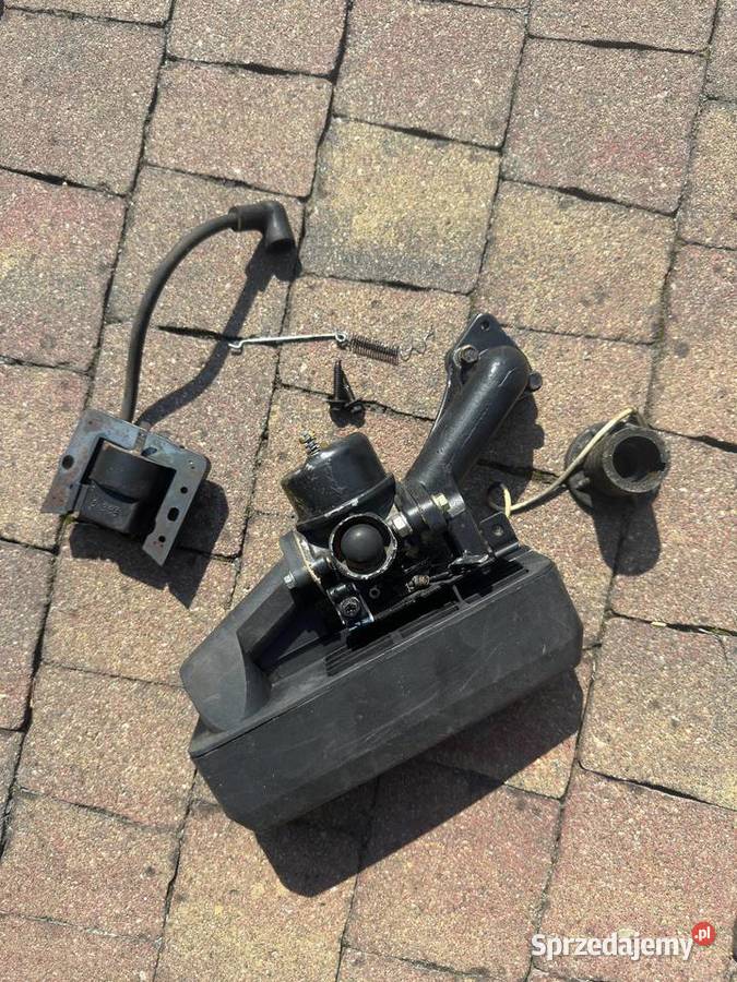 silnik briggs stratton części kujawsko-pomorskie sprzedam