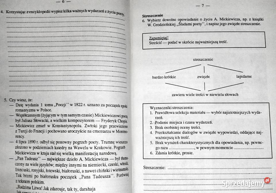 Język polski Zeszyt ćwiczeń kl 6 cz 2 Czesława Chełm