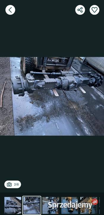 Mosty Most Cat Catterpillar