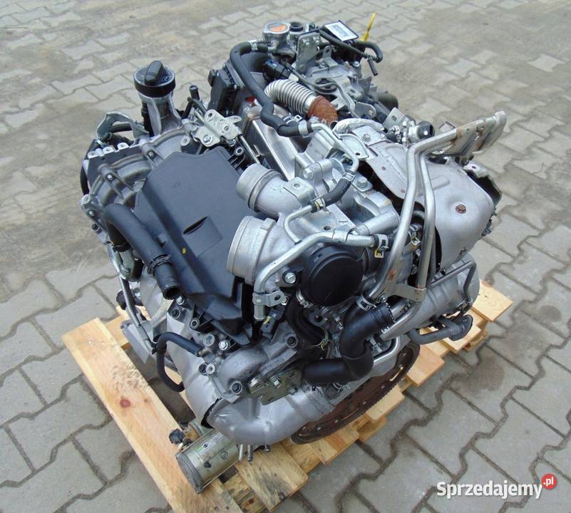 SILNIK V6 V9X 30 dCi DIESEL NISSAN NAVARA D40 Nowy Tomyśl