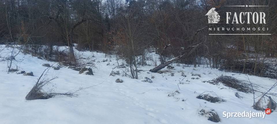Siary działka budowlanoleśna 21a 1168S2026 sprzedam