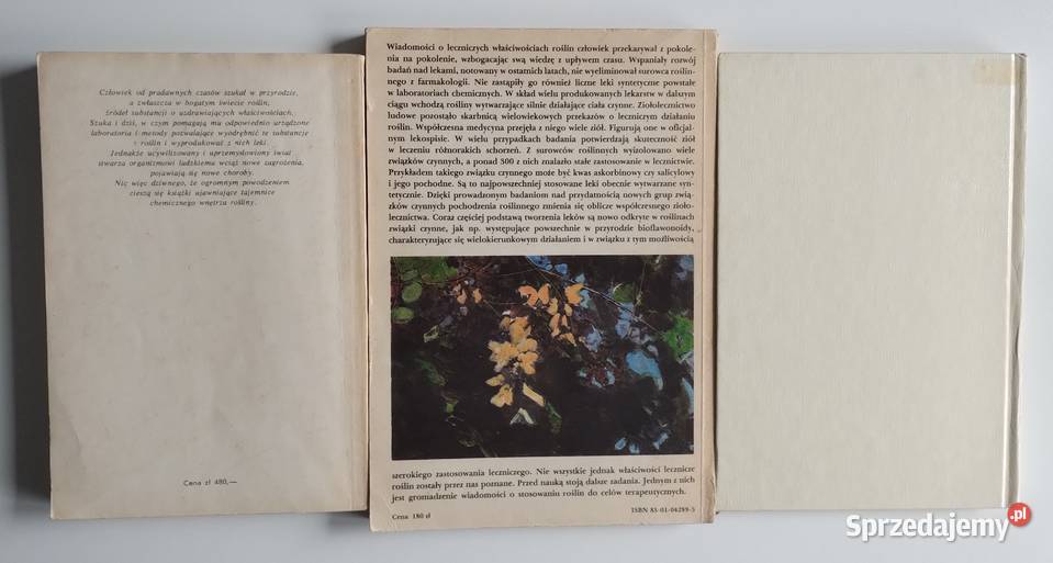 Przewodnik ziołolecznictwa ludowego Rośliny Bełchatów