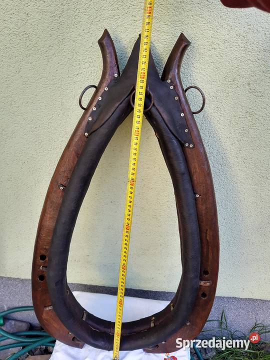 Zadbane chomąto krakowskie z podkładem Sułków