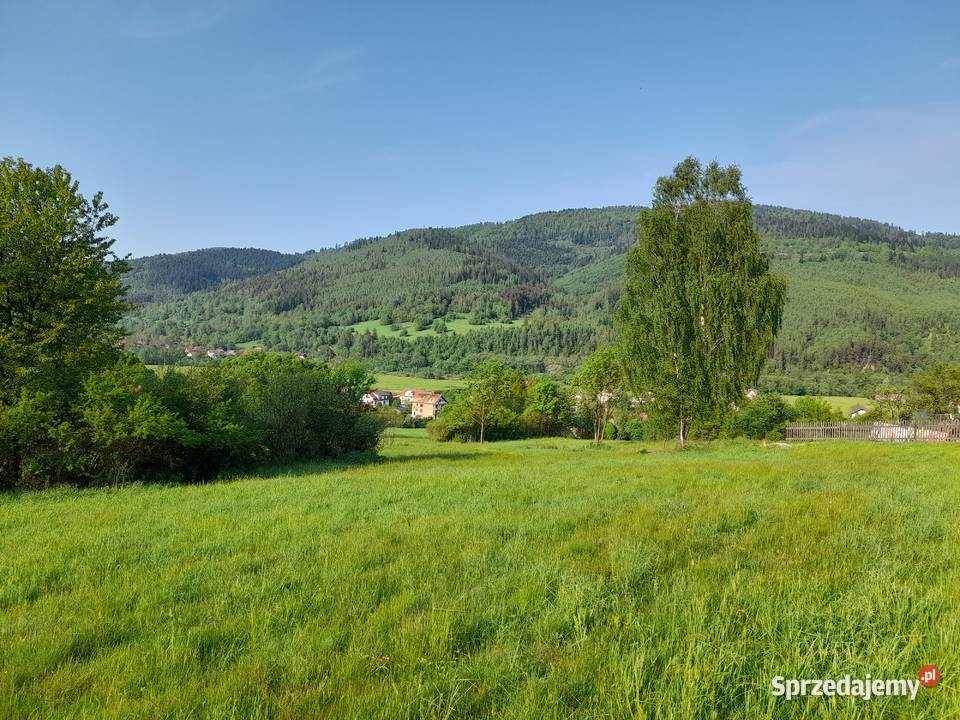 Działka rolna Rajcza Beskid Żywiecki widokowa