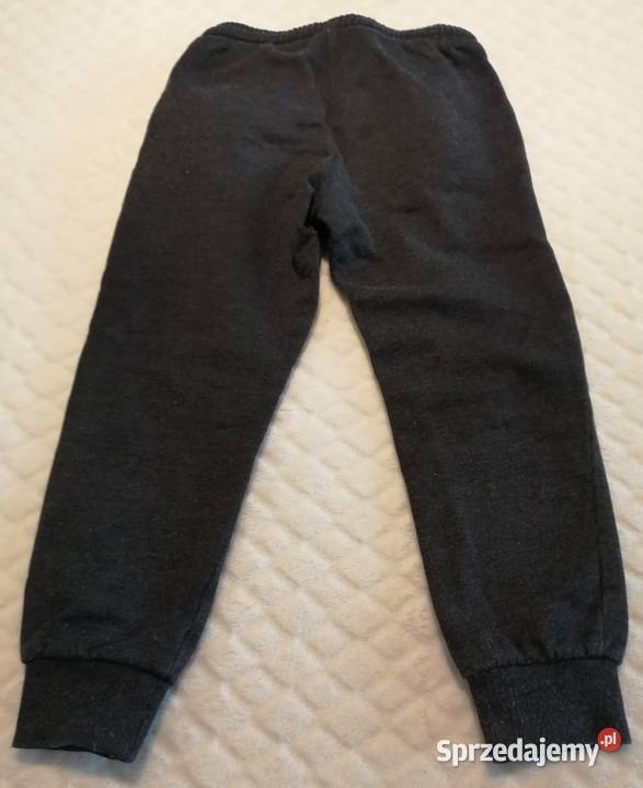 Spodnie dresowe miś polarny 104 Little kids Spodnie sprzedam
