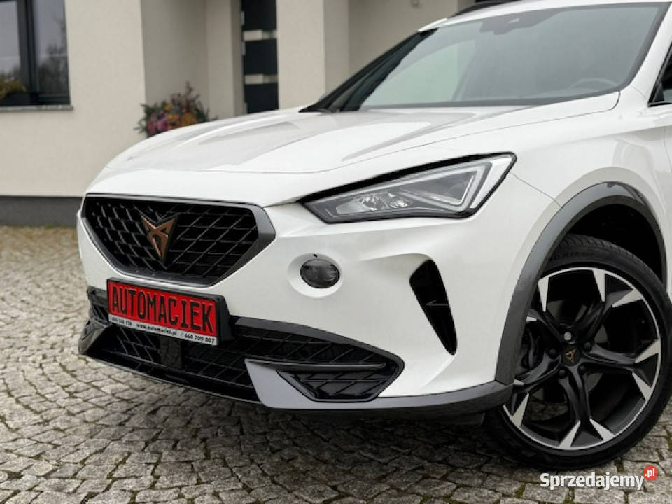 Cupra Formentor Nowe auto Ambiente Navi smart Kamienna Góra