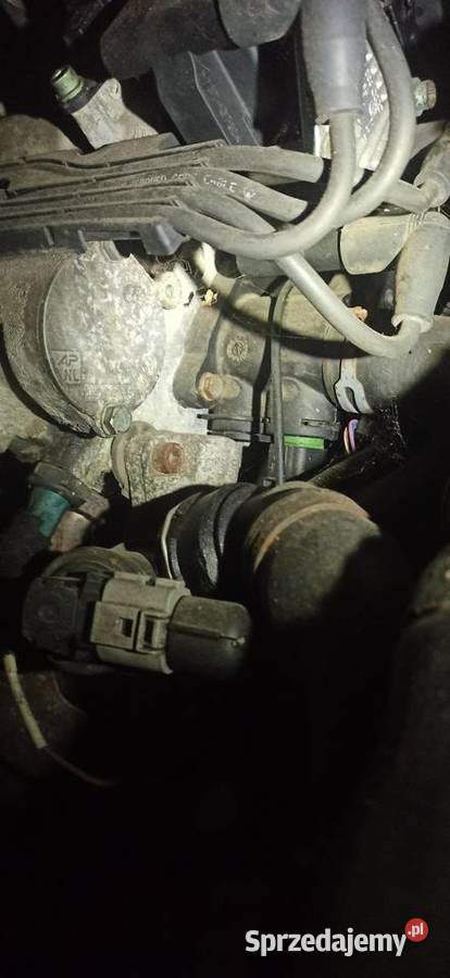 Silnik 16 16v 105 Seat Toledo Silniki kompletne Biała