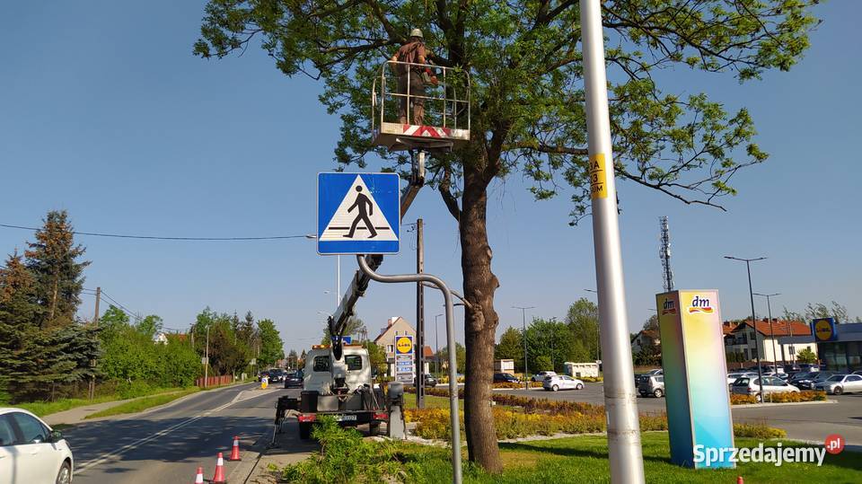 Podnośnik koszowy wynajem usługi zwyżka wycinka dolnośląskie Wrocław