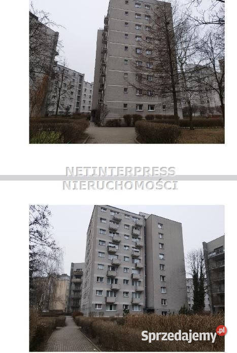 sprzedaży mieszkania 3828m2 2pokojowe Warszawa Sprzedaż