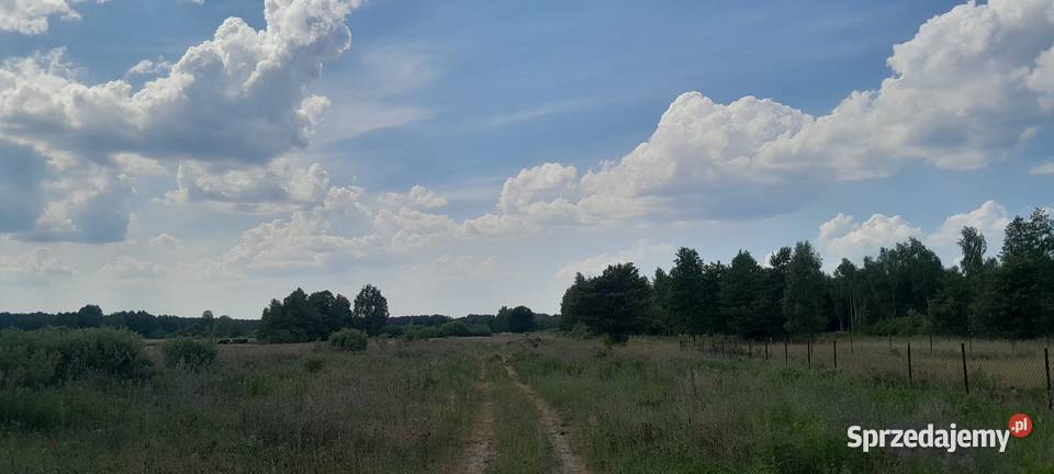 Sokołówek 21ha7 Radzyminw tym 5000m2 działka