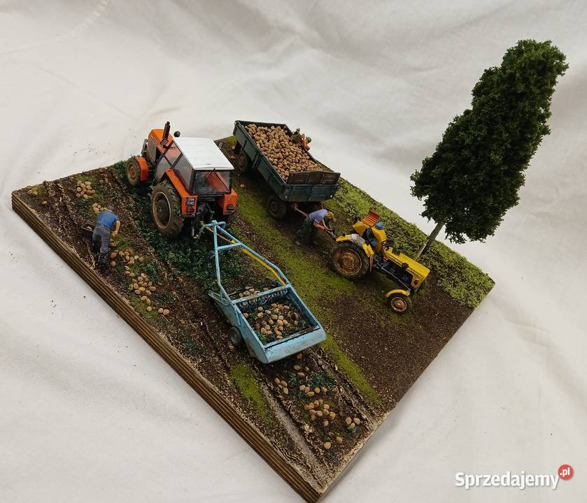 Ursusy c330 i c385 diorama Wykopki w PGRe skala Modelarstwo kujawsko-pomorskie Toruń
