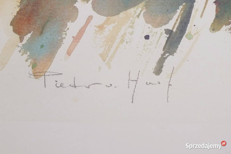 Pieter V Hoof Pejzaż dolnośląskie Lubin