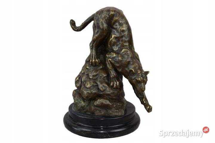 Lampart Na Skale Leopard Tygrys Jaguar Puma małopolskie Kraków