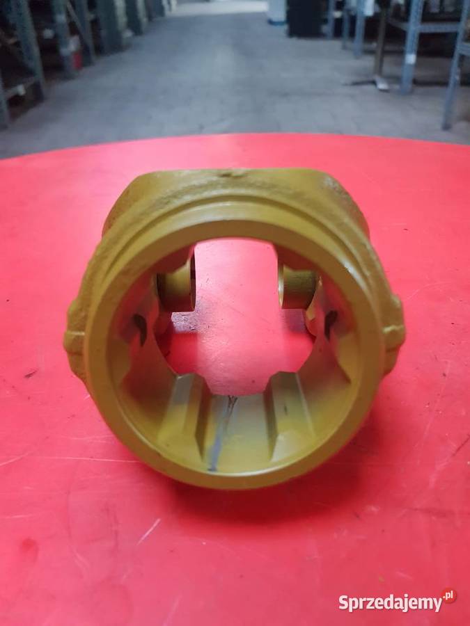 Widłak wewnętrzny 151015361