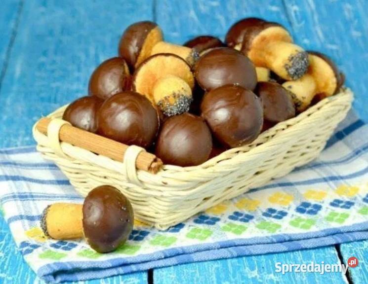 Forma do pieczenia ciastek grzybki grzybków podkarpackie Jeżowe