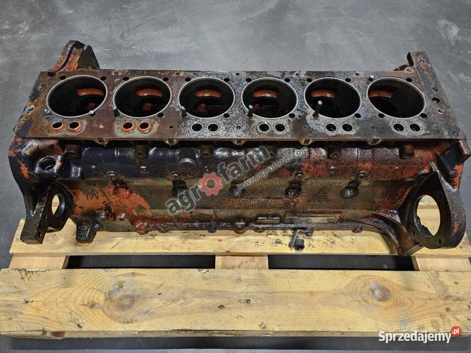 Blok silnika DeutzFahr Agrosun 120 Silnik i osprzęt Byków