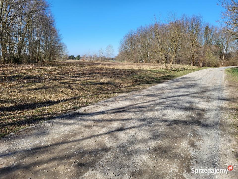 Działka budowlana 5400 m2 7 Gmina Konopnica wieś Sprzedaż łódzkie Wrońsko