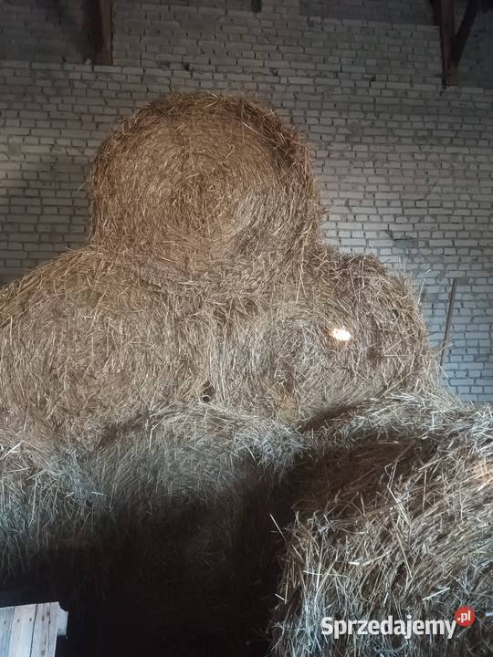 Sprzedam siano i słomę Łęczyca