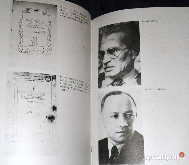 Koncepcje przebudowy Polski Stanisław Dąbrowski lubelskie Chełm