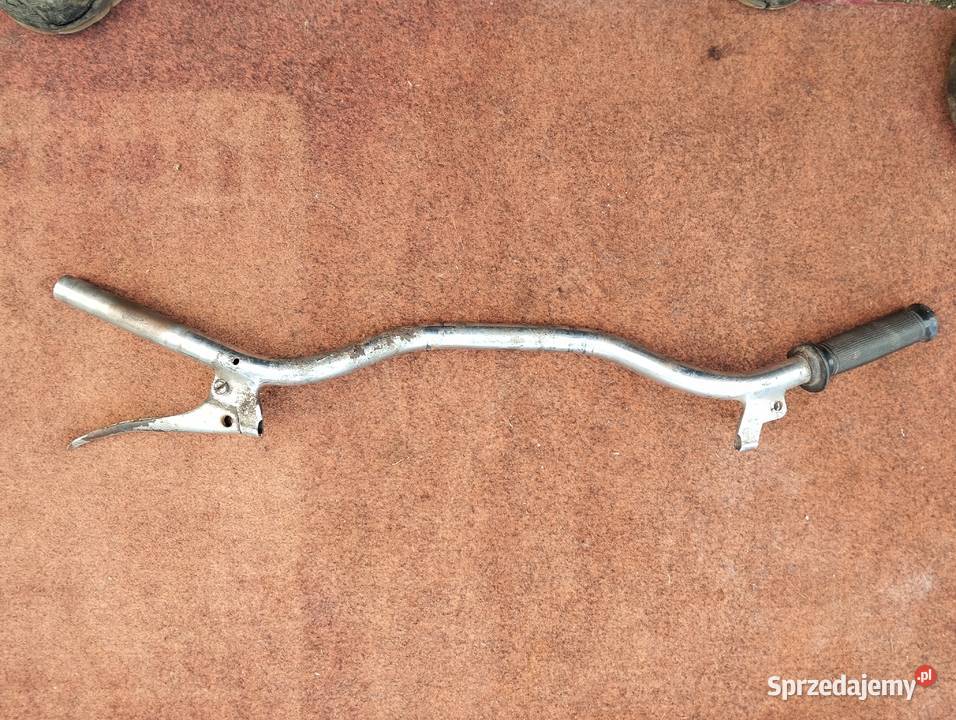 PANNONIA PANNONIA kireownica dolnośląskie Głogów