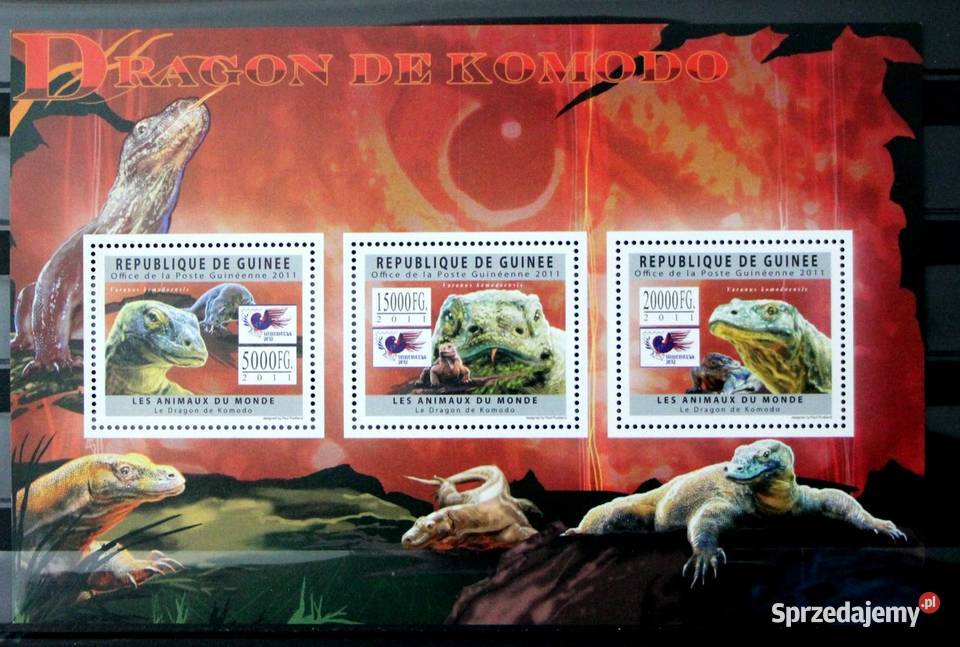 Gwinea waran z Komodo