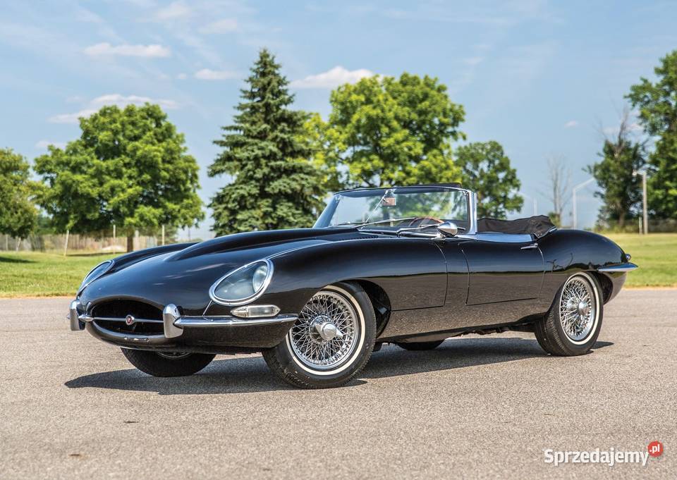 Plakaty A3 Jaguar XJ XJR EType XKR XJ220 FType wielokolorowy Kraków sprzedam