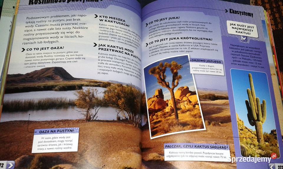 Wielka księga pytań i odpowiedzi John Farndon i Pozostałe Chełm