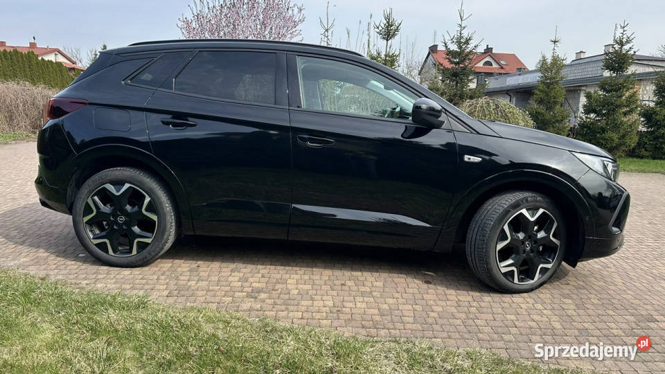 Opel Grandland mazowieckie Przasnysz