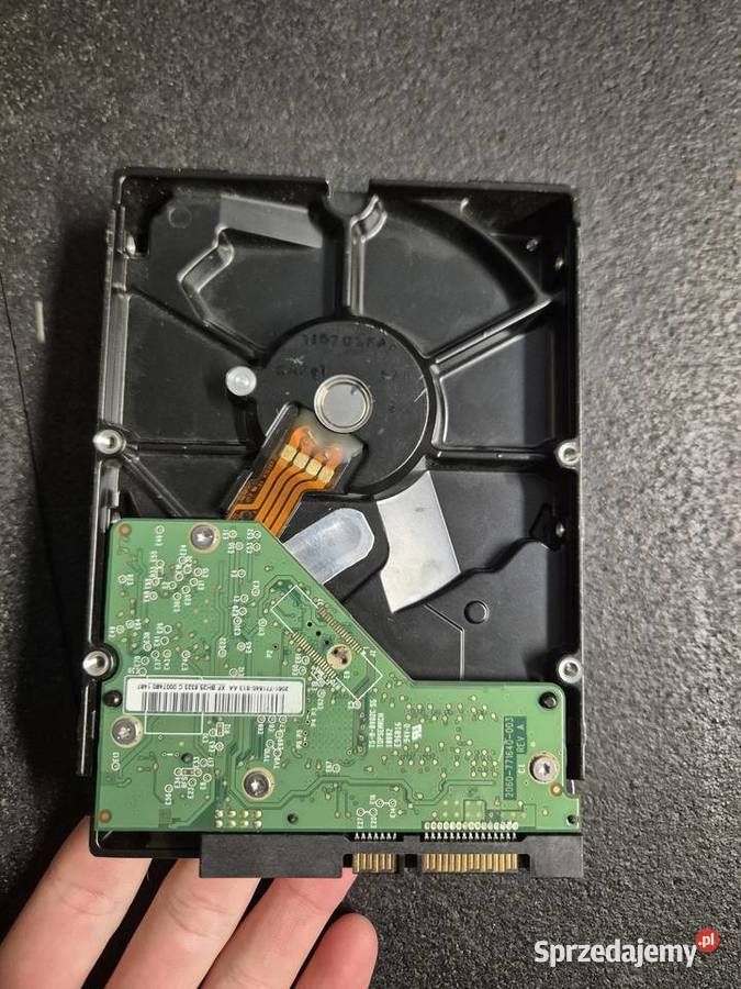 Dysk HDD Western Digital WD3200AAKX 320GB 7200 Ruda Śląska