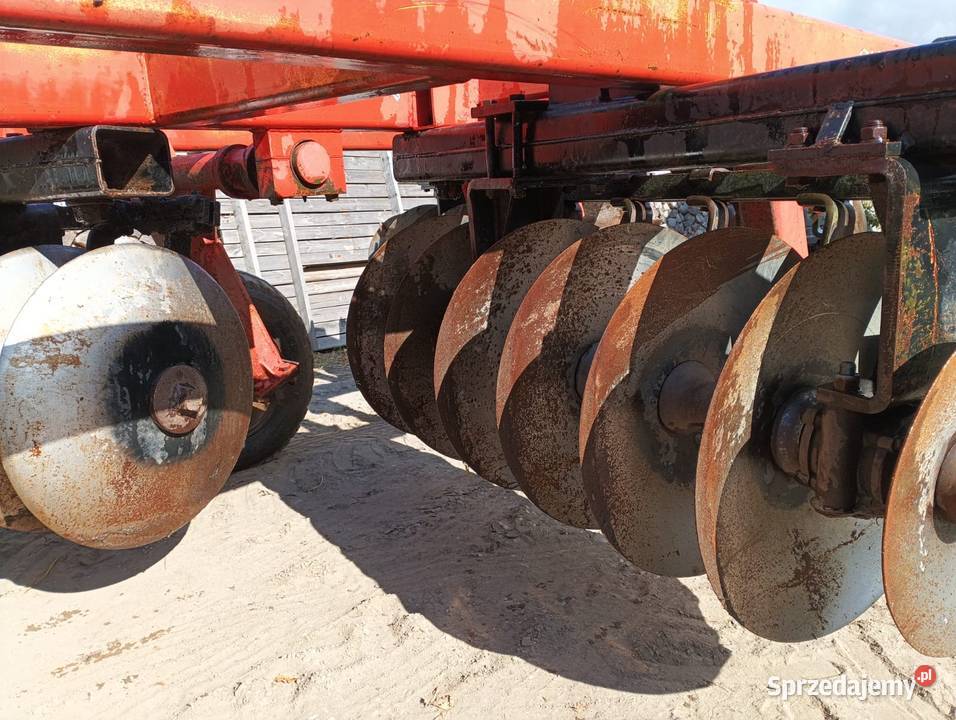 Talerzówka quivogne nieuszkodzony Starogard Gdański