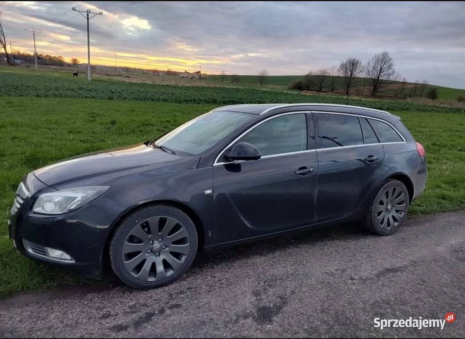 Opel Insignia 20 CDTI Touer Sport opolskie Polska Cerekiew