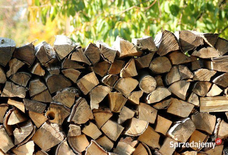 Drewno kominkowe opałowe transport Zabrze sprzedam