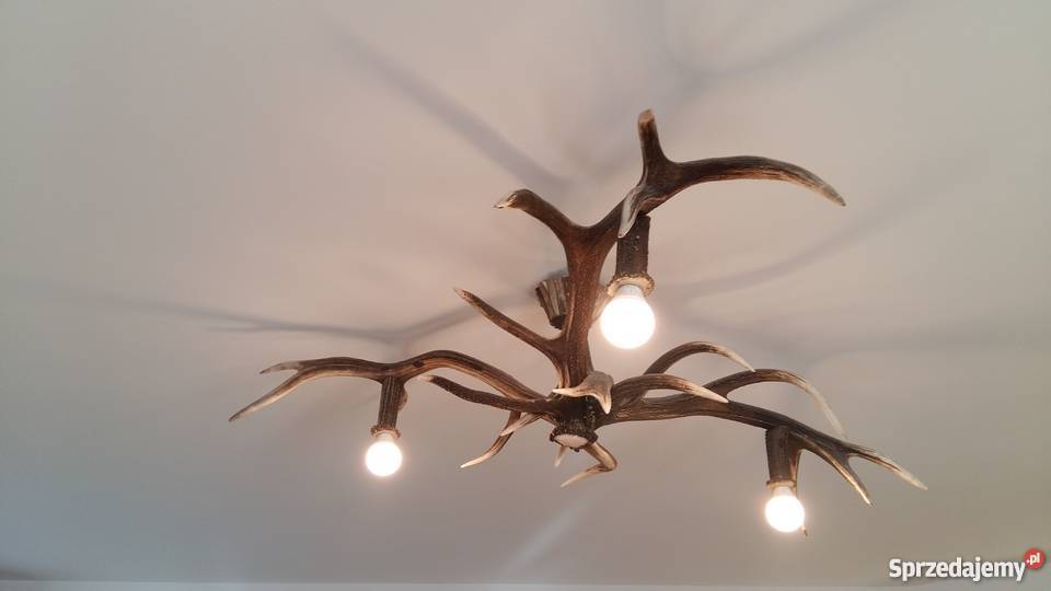 Żyrandol ze zrzutów poroża jelenia Szczecinek