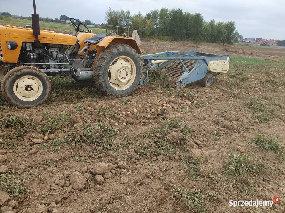 Sprzedam kopaczkę elewatorową Mielec