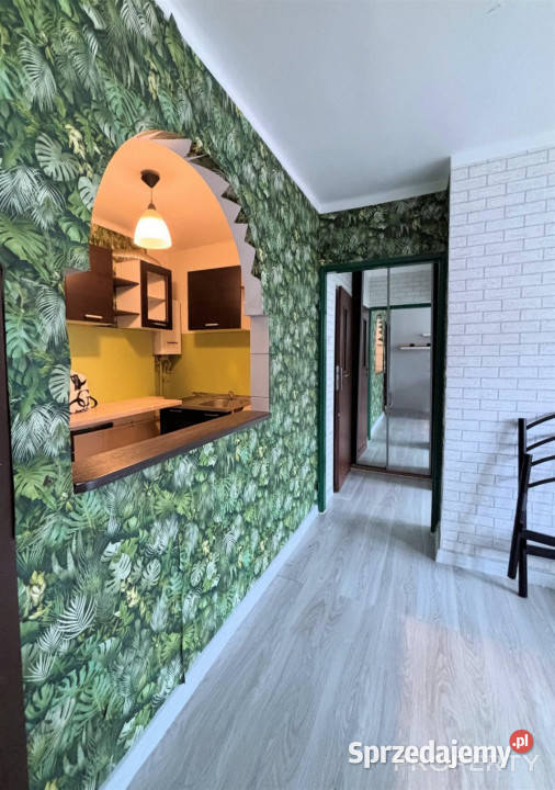 Mieszkanie Nowy Sącz 368m2 2 pokoje