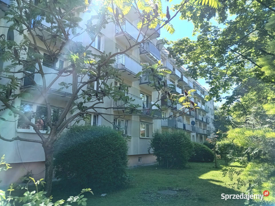 Sprzedaż mieszk38 m2 2 pokoje niski blok parter oddzielna kuchnia Sprzedaż Opole