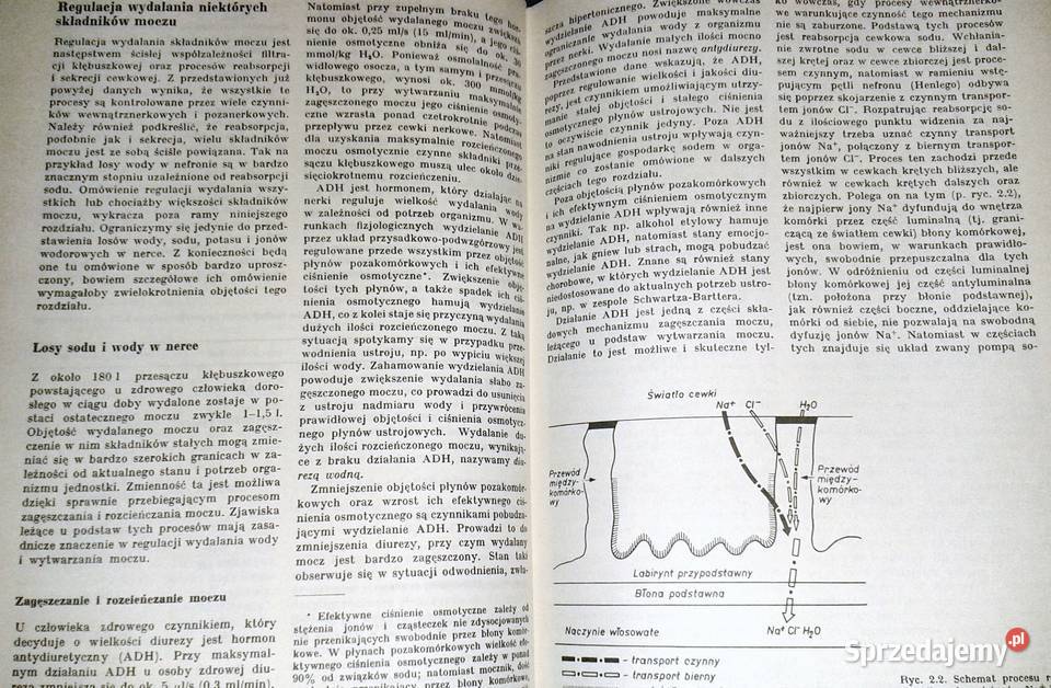 Nauka o chorobach wewnętrznych Tom 8 Witold