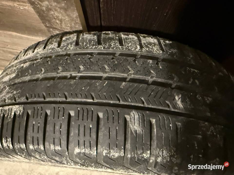 Opony Zimowe 20560R15 Opony Do Pojezdzenia Dębica