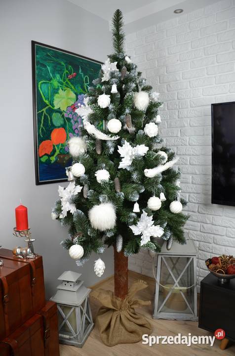 CHOINKA NA STOJAKU 180 SOSNA DIAMENTOWA PIEŃ Kielce