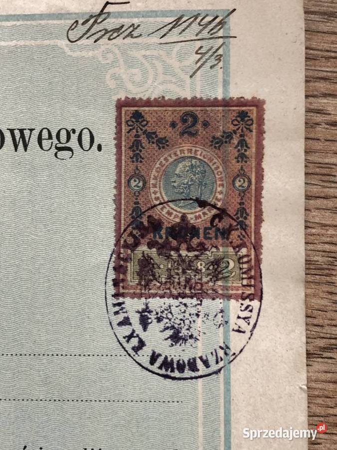 Świadectwo egzaminu rządowego z nauk Antyki Łowicz sprzedam