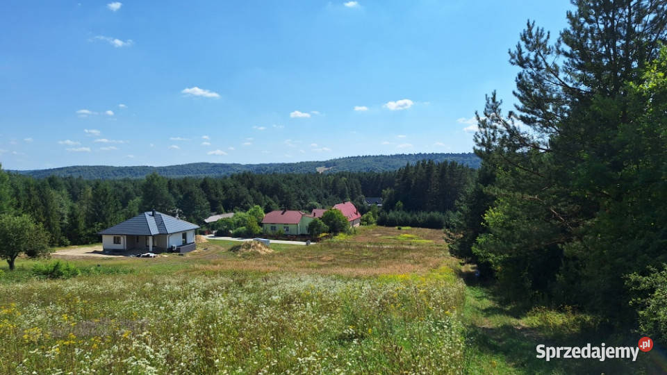 działka 1000m Roztocze Trzepieciny Krasnobród sprzedam