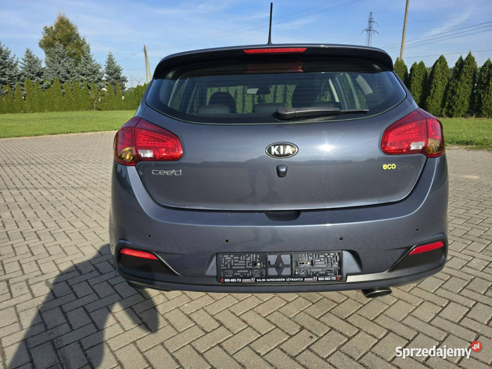 Kia Ceed 16Benzyna system Start-Stop Kutno sprzedam