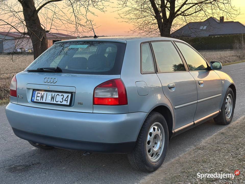 Audi A3 8L 16 8L16 Ekonomiczne Alu zadbany łódzkie Wieluń