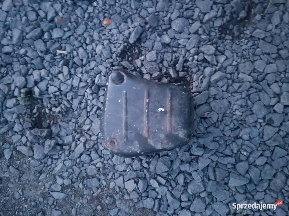 Panonia skrzynka dolnośląskie Leśna
