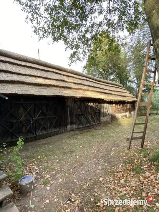 Renowacje remonty poprawki dachów z trzcina Sokołów Podlaski