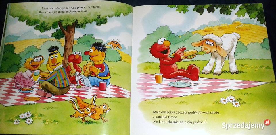 Doskonały piknik Sarah Albee miękka lubelskie Chełm